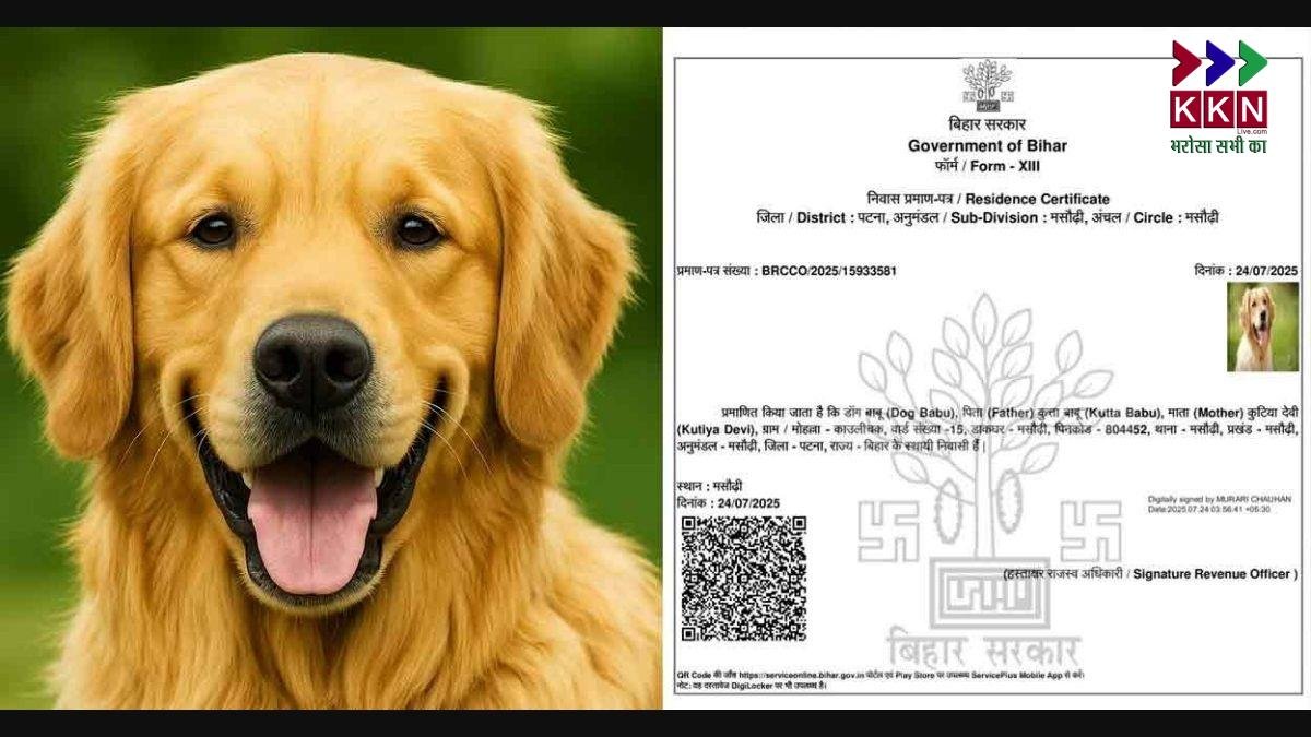 Bihar Administrative Lapse: Patna Official Suspended After ‘Dog Babu’ Housing Certificate Sparks Outrage