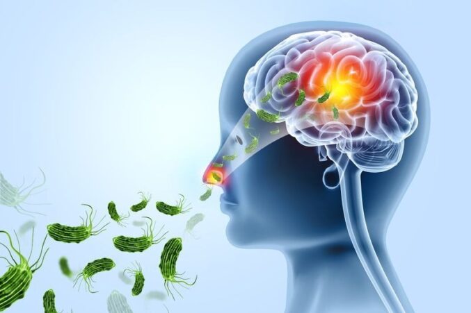 Brain Eating Amoeba in Kerala: Causes, Symptoms, Risks, and Prevention