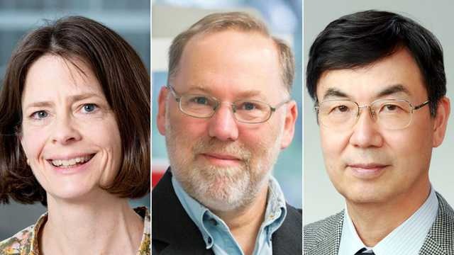 2025 Nobel Prize in Medicine: Three Scientists Honored for Revolutionary Immune System Discoveries