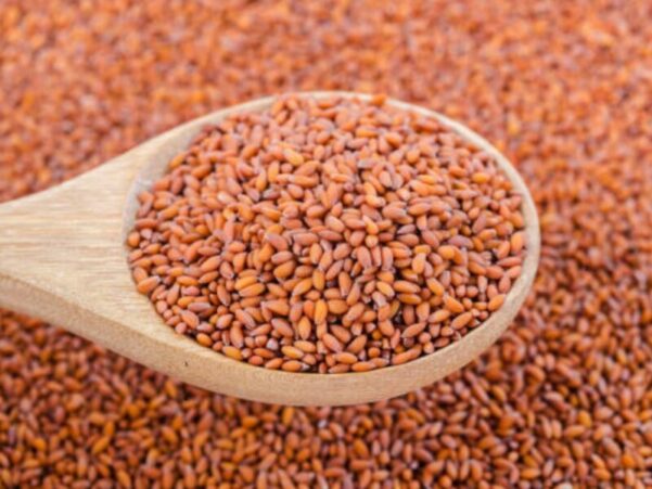 Halim Seeds : A Tiny Superfood for Boosting Health and Wellness
