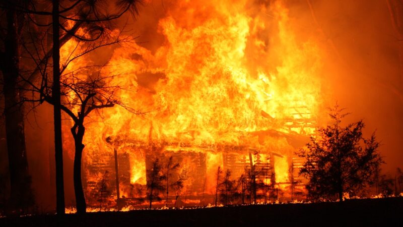 Massive Fire in Patna Destroys Wedding Goods Worth Over ₹10 Lakh Just Before Peak Season