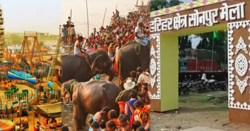 Sonepur Mela : Asia’s Largest Animal Fair and Cultural Extravaganza