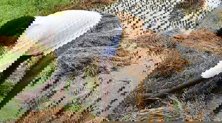 Bihar Farmers Face Major Crop Damage and Financial Loss Due to Heavy Rainfall and Cyclone Montha