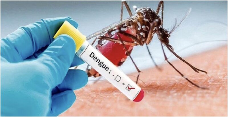 Dengue Outbreak in Muzaffarpur : Health Department Takes Action Amid Rising Cases