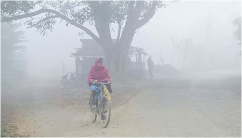 Bihar Weather Update : Cold Wave and Fog to Continue in Coming Days