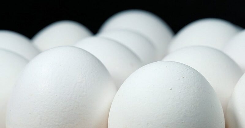 Munger Headmaster Suspended After Allegedly Giving Eggs to Students for Photos
