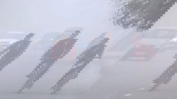 Severe Cold Wave and Dense Fog Trigger School Closures Across India