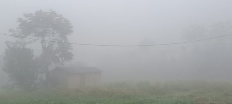 IMD Issues Orange Alert as Cold Day Conditions Grip Bihar Till January 10